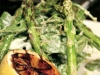 asparagus-salad